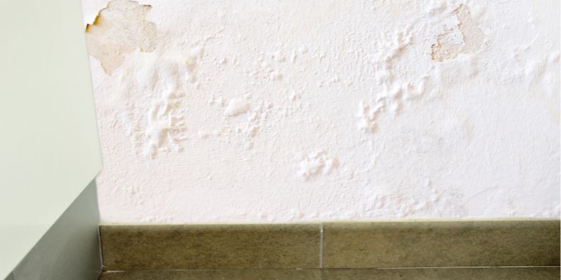 vazamaneto de água dentro da parede